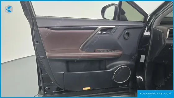 LEXUS RX LUXURY PLUS