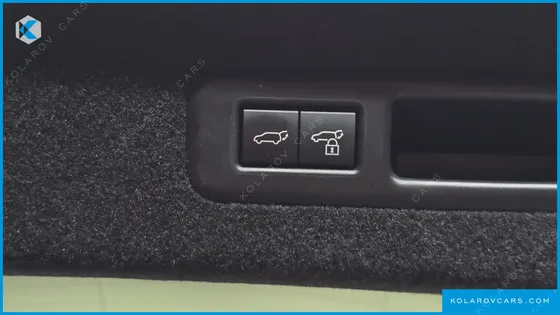 LEXUS RX LUXURY PLUS