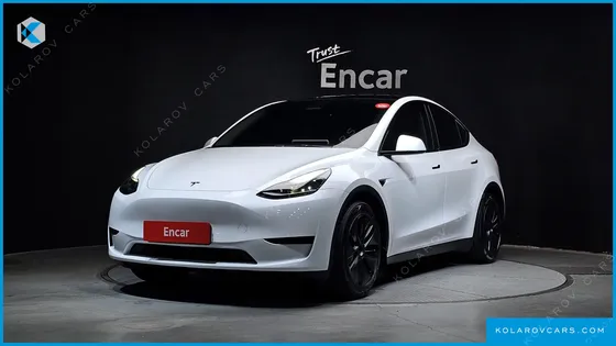 TESLA MODEL Y RWD