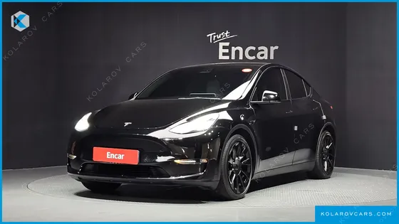 TESLA MODEL Y LONG RANGE AWD