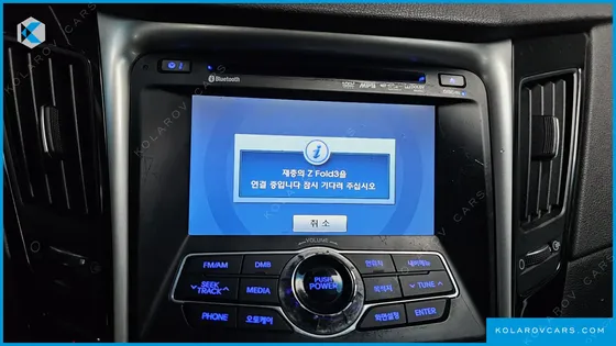 HYUNDAI SONATA LPI PREMIER(HANDICAPPED)