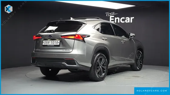 LEXUS NX EXECUTIVE