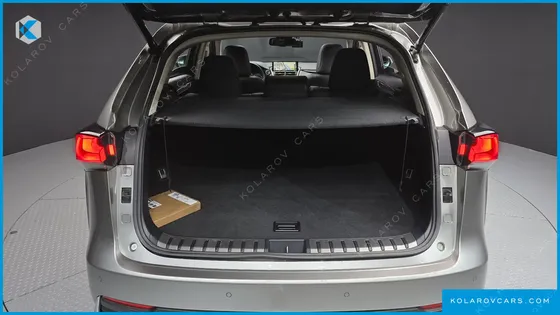 LEXUS NX EXECUTIVE