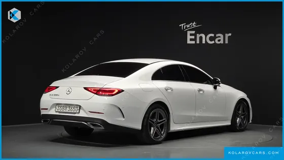 MERCEDES CLS-CLASS CLS300D AMG LINE