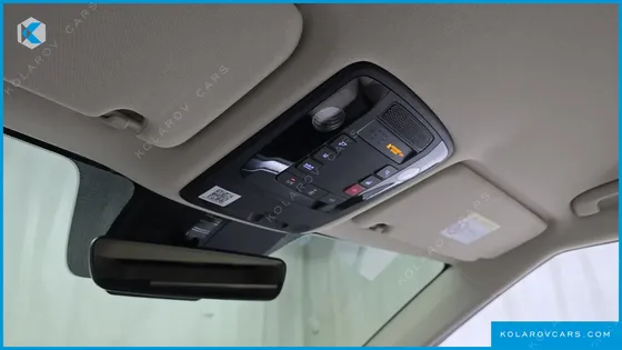 KIA CARNIVAL DIESEL 9-SEATER HI-LIMOUSINE