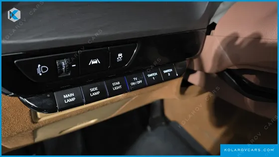 KIA CARNIVAL GASOLINE 9-SEATER LIMOUSINE(SPECIAL VEHICLE)