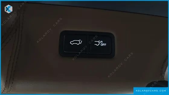 KIA CARNIVAL GASOLINE 9-SEATER LIMOUSINE(SPECIAL VEHICLE)
