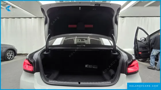 BMW 5 SERIES 530I LUXURY