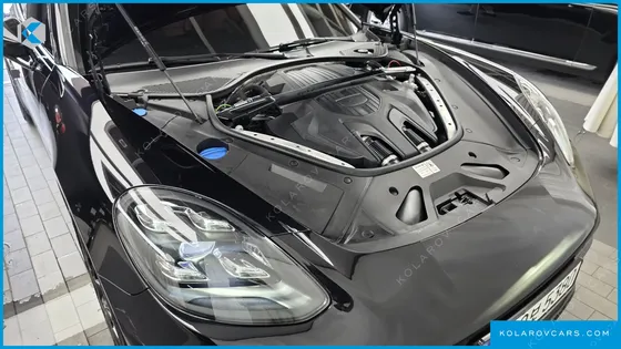 PORSCHE PANAMERA 2.9 AWD PLATINUM EDITION