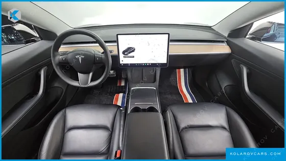 TESLA MODEL 3 STANDARD RANGE PLUE RWD