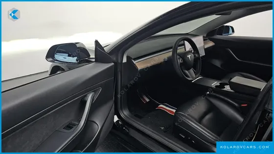 TESLA MODEL 3 STANDARD RANGE PLUE RWD