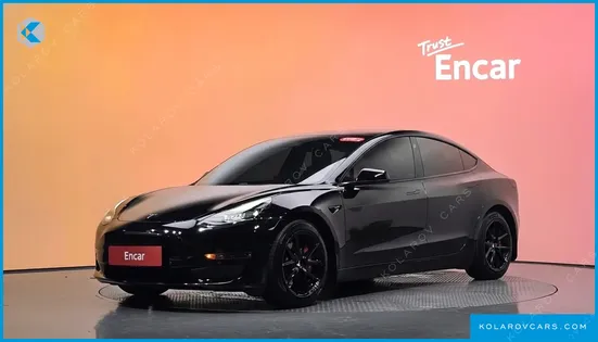TESLA MODEL 3 STANDARD RANGE PLUE RWD