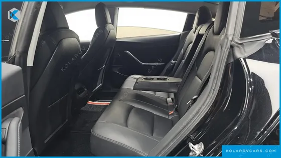 TESLA MODEL 3 STANDARD RANGE PLUE RWD