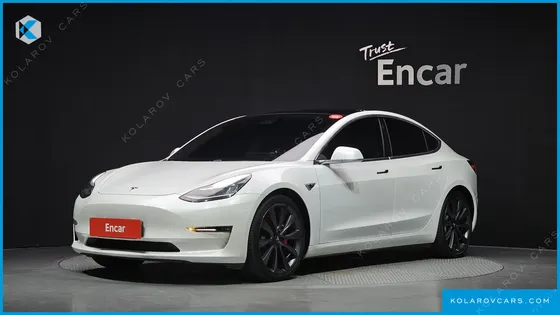 TESLA MODEL 3 PERFORMANCE AWD