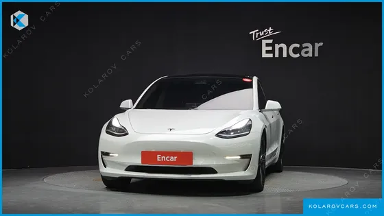 TESLA MODEL 3 PERFORMANCE AWD