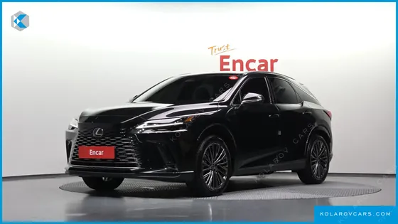 LEXUS RX LUXURY