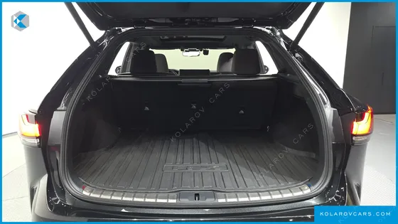 LEXUS RX LUXURY