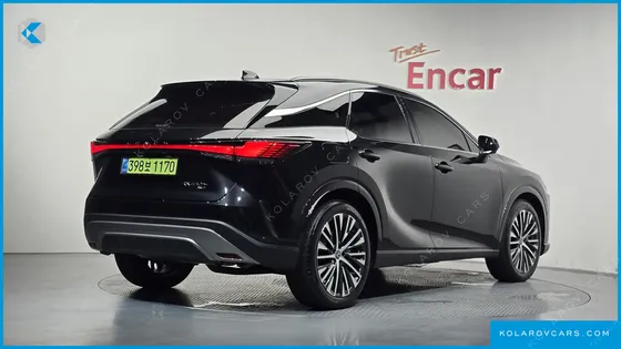 LEXUS RX LUXURY