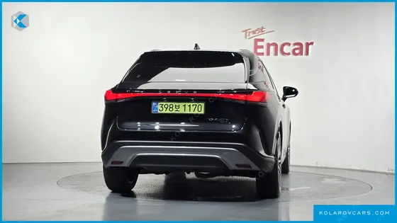LEXUS RX LUXURY