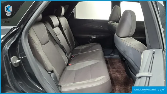 LEXUS RX LUXURY