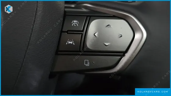 LEXUS RX LUXURY