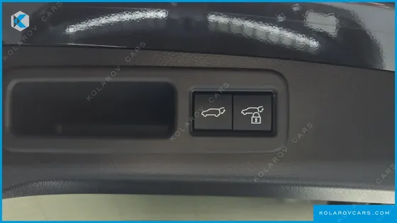 LEXUS RX LUXURY