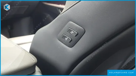 LEXUS RX LUXURY