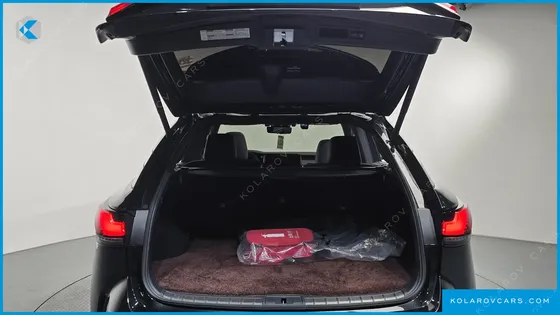 LEXUS RX LUXURY