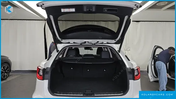 LEXUS RX EXECUTIVE
