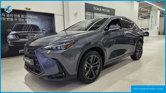 LEXUS NX PREMIUM