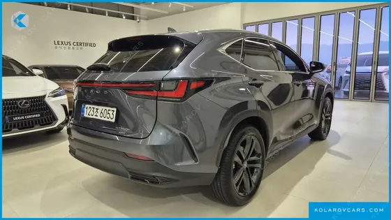 LEXUS NX PREMIUM