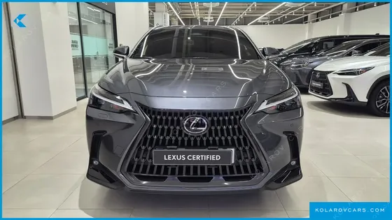 LEXUS NX PREMIUM