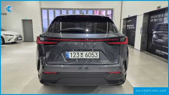 LEXUS NX PREMIUM
