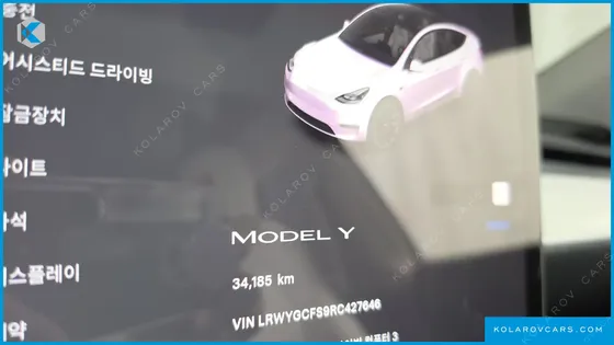 TESLA MODEL Y RWD