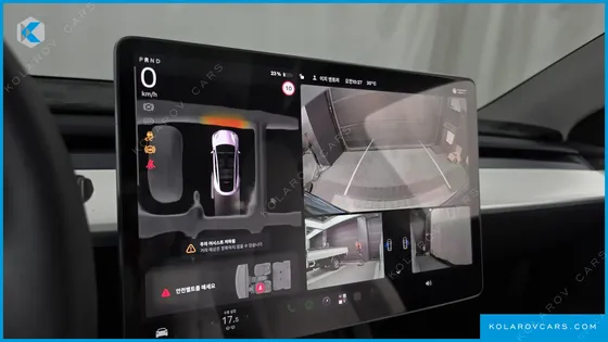 TESLA MODEL Y RWD