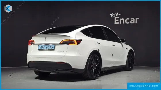 TESLA MODEL Y PERFORMANCE AWD