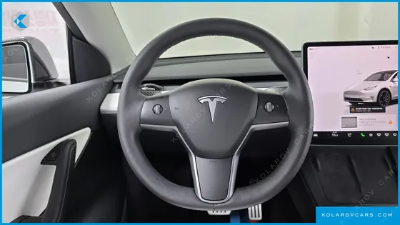 TESLA MODEL Y PERFORMANCE AWD