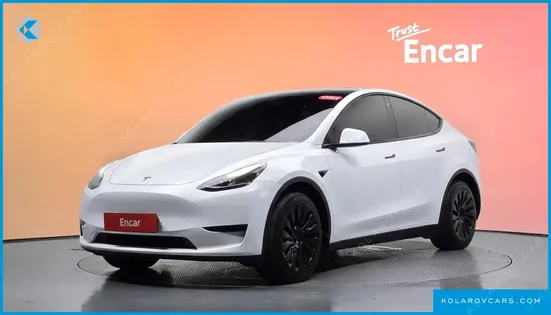 TESLA MODEL Y RWD