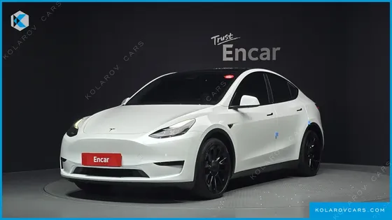 TESLA MODEL Y RWD