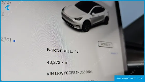 TESLA MODEL Y RWD