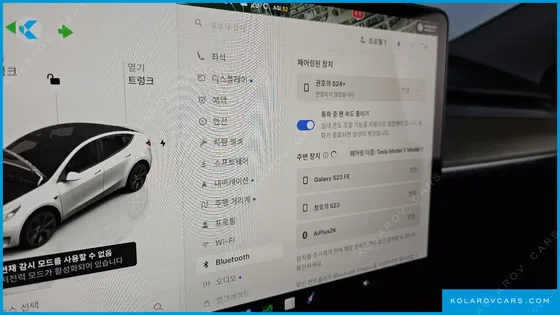 TESLA MODEL Y RWD
