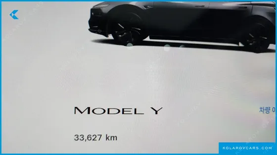 TESLA MODEL Y RWD