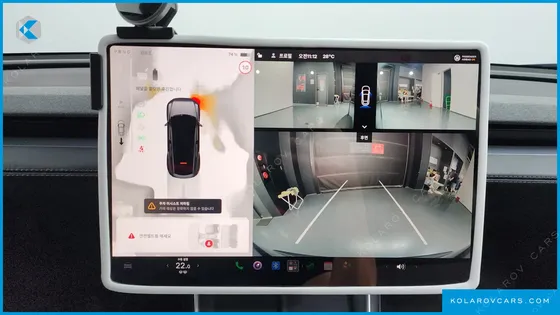TESLA MODEL Y RWD