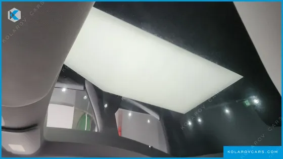 TESLA MODEL Y RWD