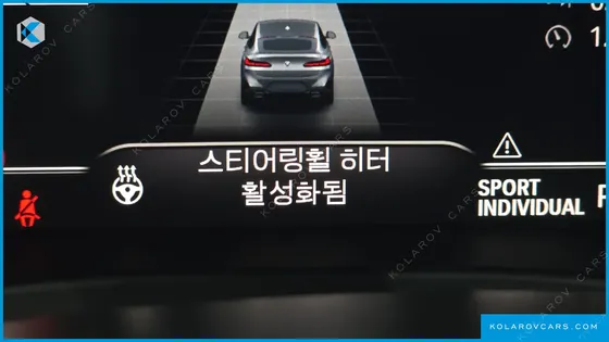 BMW X4 XDRIVE20I M SPORT PRO SPECIAL EDITION