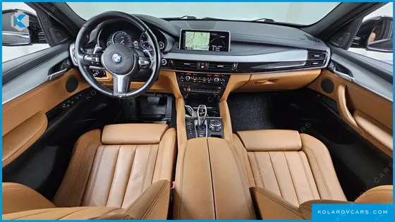 BMW X6 XDRIVE 30D VISION 100 EDITION