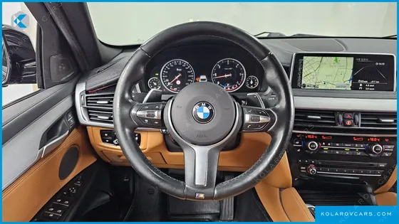 BMW X6 XDRIVE 30D VISION 100 EDITION
