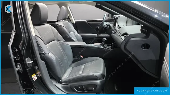 LEXUS ES LUXURY