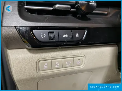 KIA CARNIVAL GASOLINE 9-SEATER LIMOUSINE(SPECIAL VEHICLE)