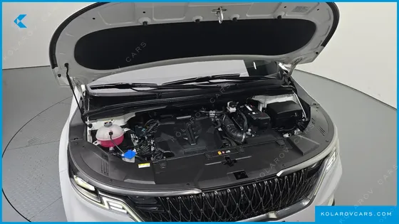 KIA CARNIVAL GASOLINE 7-SEATER SIGNATURE